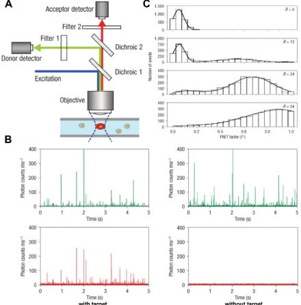 Figure 8: Single quantum dot FRET. A) Schematic illustration of experiment setup. Fluorescent signals are acquired using confocal spectroscopy as the nanocomplexes flow through the microfluidic capillary