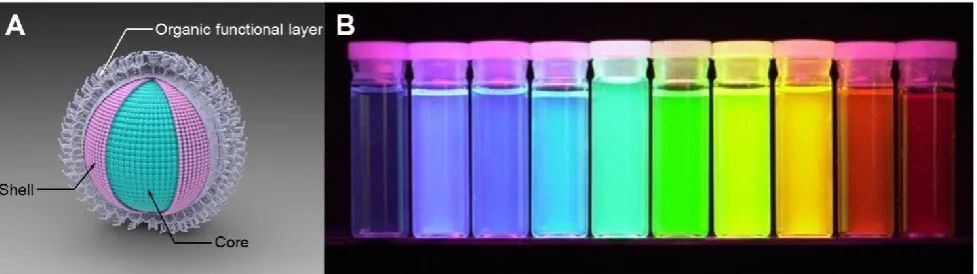 Figure 1: A) Schematic illustration of QD structure. B) QDs display distinctive colors under UV excitation