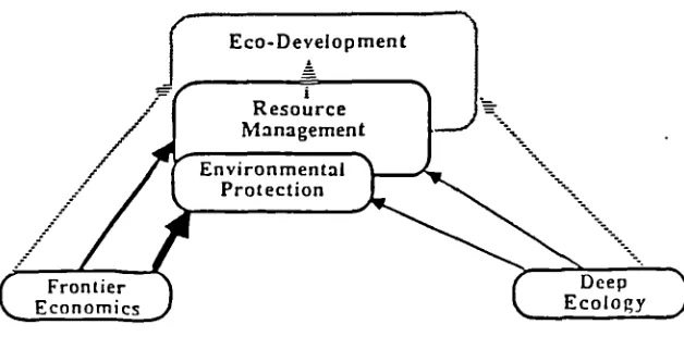FIGURE 1. Evolutionary Paradigms Diagram.