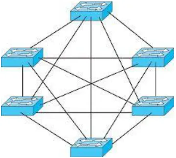 Fig 6.4.1 Structure of MESH Topology 