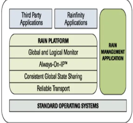 Figure 3.1: Architectures of RAIN Technology [1] 