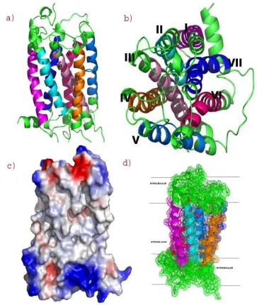 Table 1 Ramachandran plot statistics for best model of hHH2r protein structure (PROCHECK)  