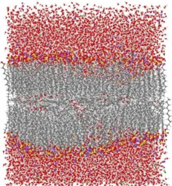 Fig. 4.1. PDADMAC/SDS/Decanol in water bulk.