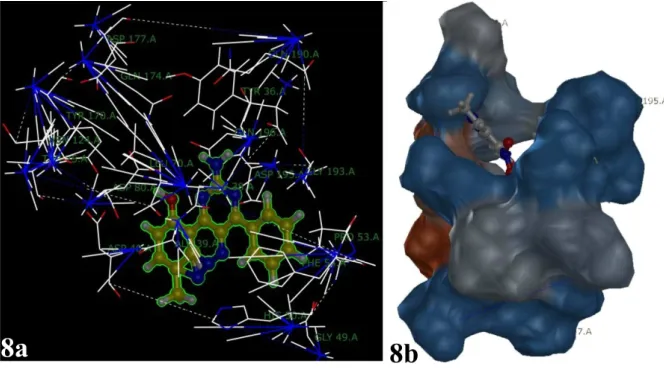 Figure 7a-b Binding mode of compound 2h with P450 (14DM) CPY51. The enzyme is shown as surface; while 2h docked structure is  shown as ball and sticks