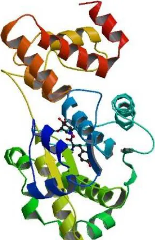 Figure 4 Asymmetric Unit of 1JIJ - Crystal structure of  S. aureus TyrRS in complex with SB-239629 