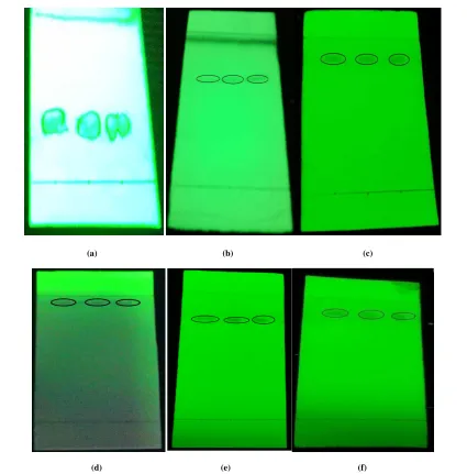 Fig. 1:  Thin layer chromatogram of glimepiride with the mobile phase (a) chloroform : methanol (9 : 1, plate was sprayed with KOH 0.1 N); (b) chloroform : methanol (9 : 1); (c)  chloroform : methanol (8 : 2); (d) chloroform: methanol (7 : 3); (e) methanol