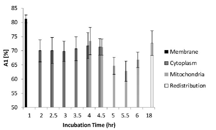 Figure 6. Distribution of A2 as a function of different incubation time. A2 was increased from 19% to 35% as cells took up more Photofrin®as the incubation time increased, suggesting contribution of τ2 (mostly from photoproducts of Photofrin® under strong 