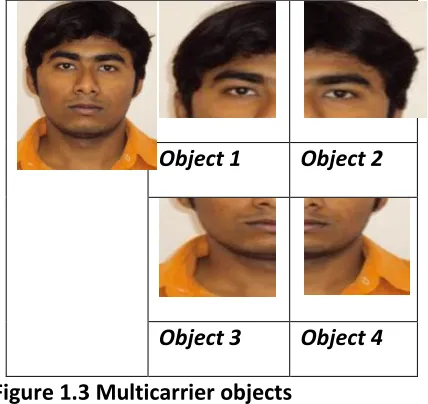 Figure 1.3 Multicarrier objects 
