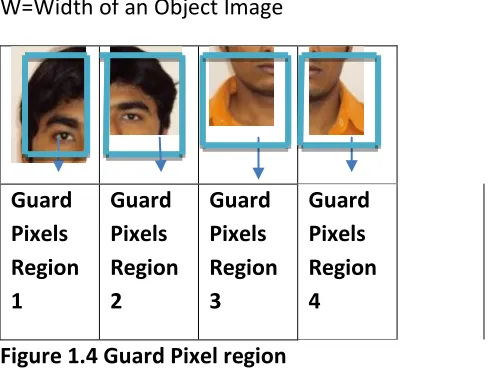 Figure 1.4 Guard Pixel region 
