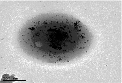 Figure 2. TEM images of HSA-SPIONs loaded PLGA nanoparticles with sonication step in the first power of 20 W for 10 min, than the second power of 60 W for 4 min