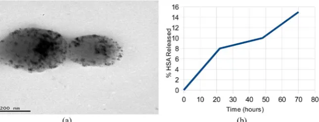 Figure 3. TEM images of HSA-SPIONs loaded PLGA nanoparticles with sonication step in the first power of 60 W for 2 min, than the second power of 20 W for 10 min