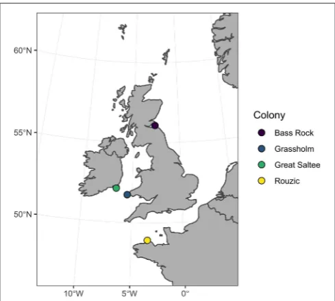 TABLE 1 | Summary of samples collected from 187 northern gannets across fourbreeding colonies between 2008 and 2012 including geolocation loggers andfeather stable isotope analysis (SIA).
