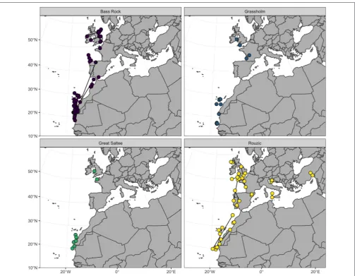 FIGURE 2 | Centroid December location of northern gannets ((n = 77) tracked from four colonies in the North East Atlantic