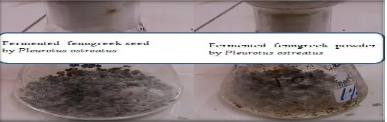 Fig.2 UV- visible; gold nanoparticles synthesized by citrus pectin at (5kGy), chitosan at (40kGy) and alginate at (45kGy) 