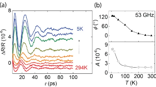 Figure 4: (a) Temperature dependence of the 53 GHz strain wave induced oscillations extracted  from the PI reflectivity measurements of the thin film