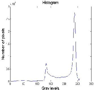Fig. 1 Typical histogram for document image shown in Fig. 3 (large number of background pixels and small number of text pixels) 
