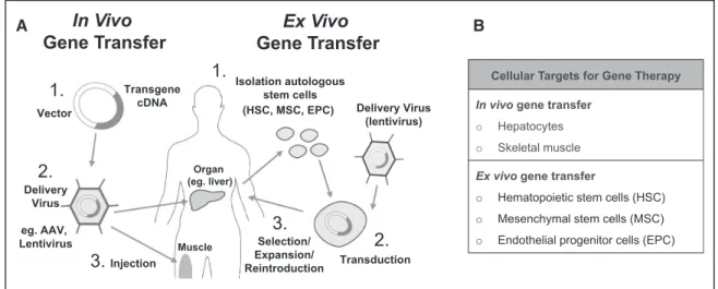 Figure 2. Methods for transfer of coagulation factor genes. A, Currently used strategies (clinical or preclinical) for transfer of  coagulation factor genes include in vivo and ex vivo approaches