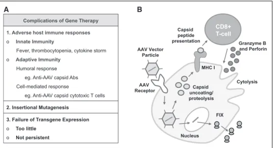 Figure 4. Complications of gene therapy. A, Complications of gene therapy include innate and adaptive immune responses, insertional  mutagenesis, and failure of transgene expression