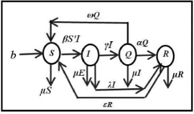 Fig. 3.1. Transition relationship of node states