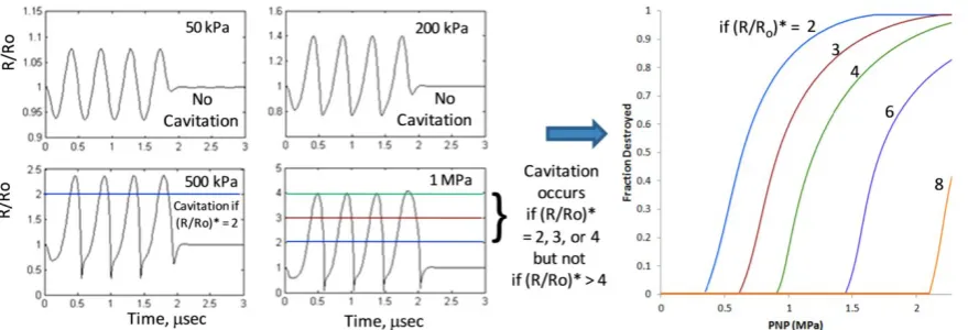 Figure 2. Predicted Cavitation Destruction Profiles: We use eqn (8) to predict the magnitude of microbubble oscillations as a function of time for a specified value of the area expansion modulus, Kbut not at the lower pressures