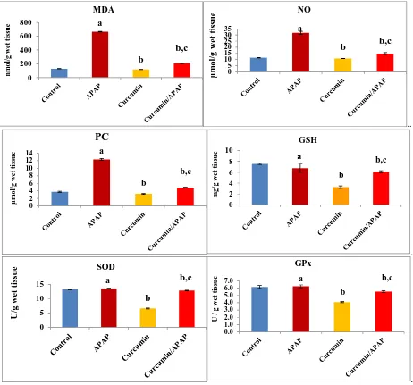 Fig. (2): Effect of acetaminophen and curcumin on antioxidant status in the kidney tissues
