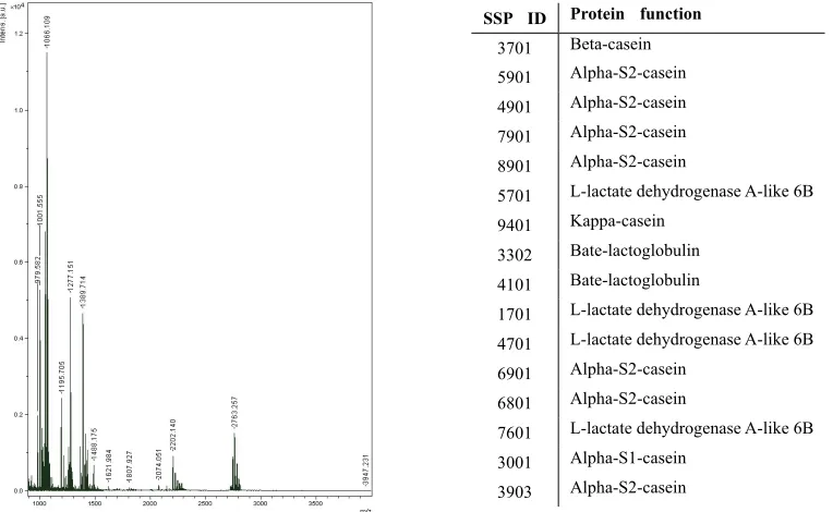 Figure 4. Six 2DGE profiles of pasteurized milk run in parallel to confirm the stability of the method