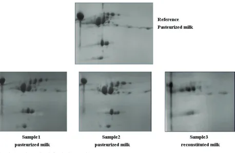 Figure 6. DIGE profiles of pasteurized milk and reconstituted milk. 