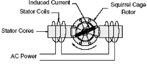 Fig 1: Induction motor schematic 