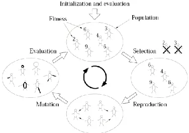 Fig 3: Initialization and the iterative cycle in Evolutionary Algorithms 