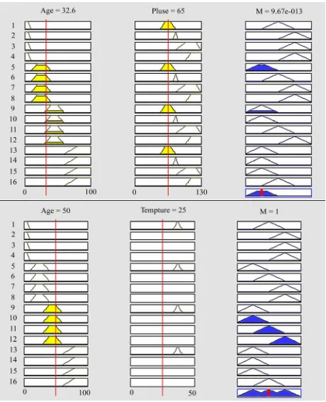 Figure 2. A sample fuzzy calculations.  