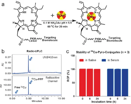 Figure 2. The radiolabeling procedure, quality control and stability of 64Cu-PPF. a) The scheme of the 64Cu-radiolabeling of Pyro-Conjugates, b) quality control of 64Cu-labeled PPF by radio-UPLC, c) in vitro stability of 64Cu-Pyro-Conjugates in saline or s