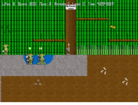Figure 9. In-game screen shot 