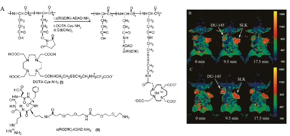 Figure 12. Synthetic scheme of biodegradable c(RGDfK) targeted poly(L-glutamic acid)-cystamine-(Gd-DO3A) conjugate (A)
