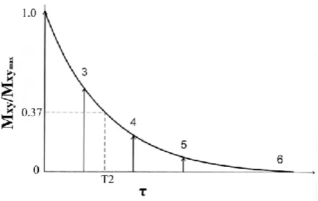 Figure 2. T1 relaxation curve. The regrowth of longitudinal component of magnetization from the initial value Mz (0) to the equilibrium value M0
