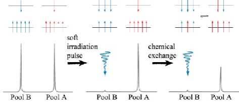 Figure 5. TEM images of 6 nm Fe3O4 (left), 14 nm CoFe2O4 (middle) and 14 nm MnFe2O4 nanoparticles (right)