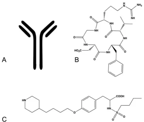 Figure 6. Examples of integrin antagonists (A) therapeutic antibody (B) cyclic peptide (C) small molecule antagonist