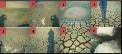 Figure 2.  The dewatering process of waste sediment. 