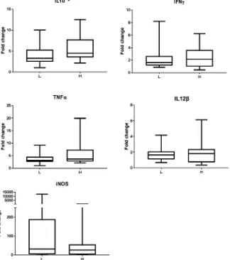 Figure 2. Mean relative expression of iNOS and cytokines (IFNγ, IL-10, IL-12β, and TNFα) in blood samples taken at three-month intervals for one year from 5 animals at low (L) and 5 with high levels (H) of Babesia bovis and Babesia bigemina