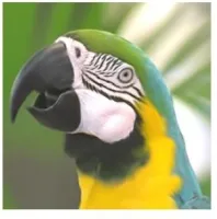 Figure 4: the objective criteria and via subjective visual perception in SR when the proposed