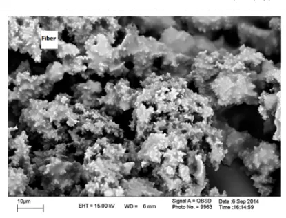 Figure 2 SEM image sol-gel based IL loaded hollow fiber membrane  