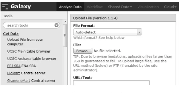 Fig. 2.3. Galaxy Tool Deployment Process