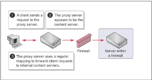 Figure 2.1: Implementation of Reverse Proxy at Firewall (Sun Microsystem) 