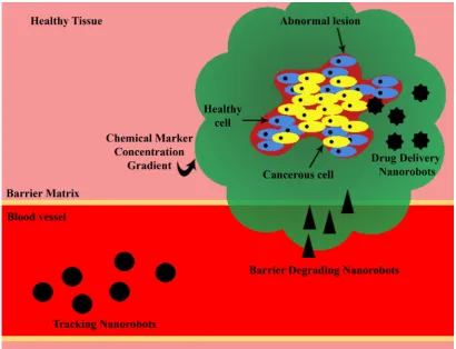 Fig. 3.1: Schematic representation of the targeted drug delivery scenario