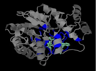 Figure 3: Active site of 4PR4(Note: Predicted binding site-blue; other residues-grey)   