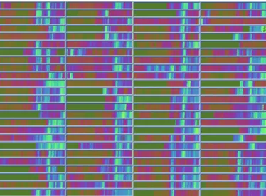 Fig. 4. Dense Pixel Displays: Circle Segments Technique c IEEE