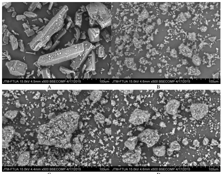Figure 9. SEM Fictureof  β-CD  