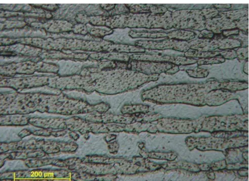 Fig. 2. Microstructure of the 2205 type duplex steel 