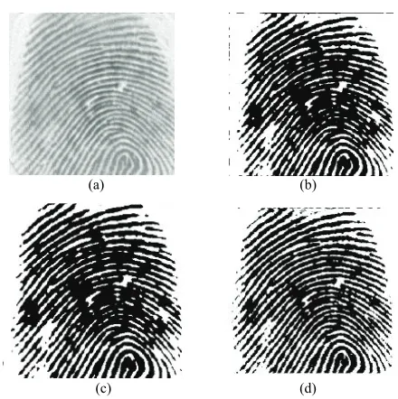 Figure 2. Fingerprint image. (a) Original image; (b) The im-age corrupted by Gaussian noise; (c) The image corrupted by salt and pepper noise