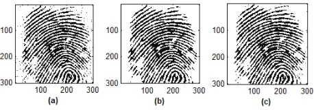 Figure 3. Segmenting results on fingerprint image corrupted by Gaussian noise. (a) Fingerprint segmentation result using FCM (b) Fingerprint segmentation result using EnFCM (c) Fingerprint segmentation result using SWFCM
