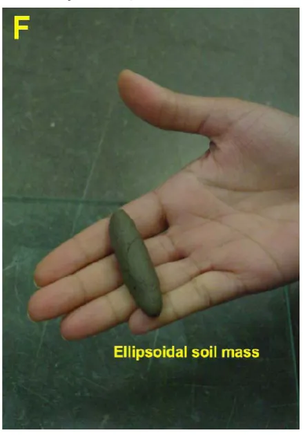 Fig. 8  Ellipsoidal soil mass during test. 